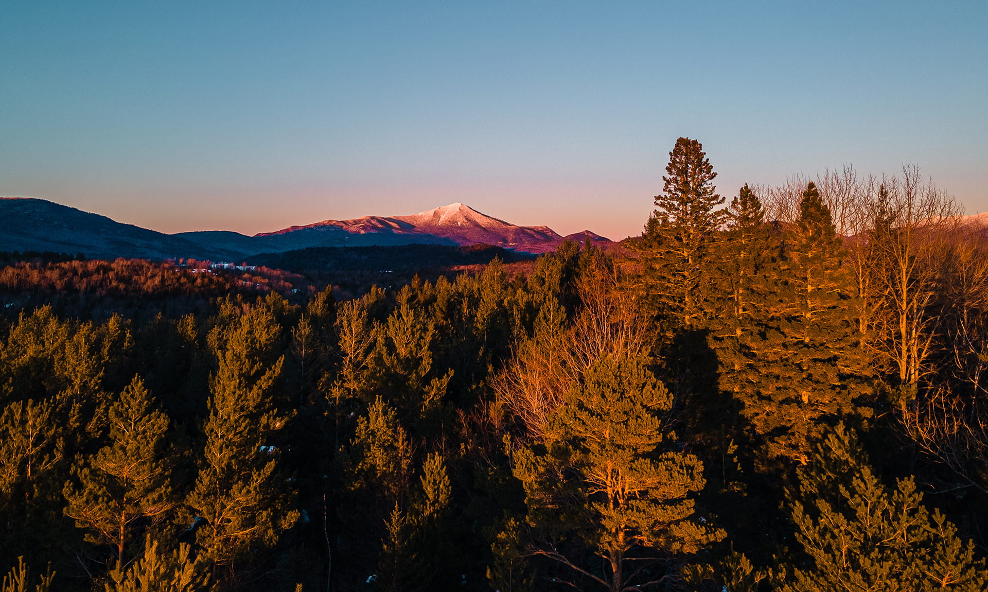 Home page billboard image